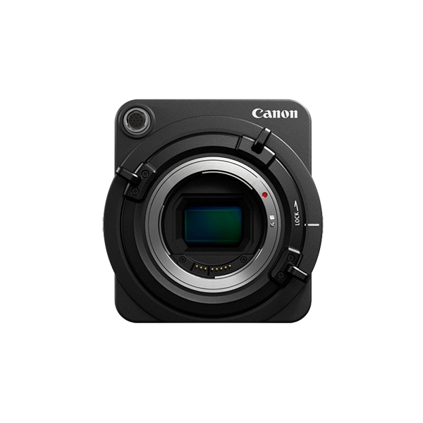 product4.png - Whitesun Group