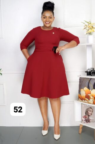 Elegant Maroon Dress