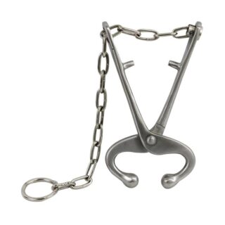 BULL LEADER WITH CHAIN