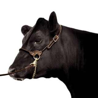 Leather cattle Halters