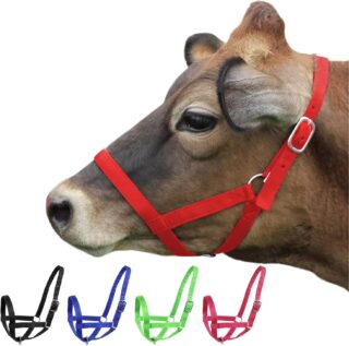 NYLON CATTLE HALTERS