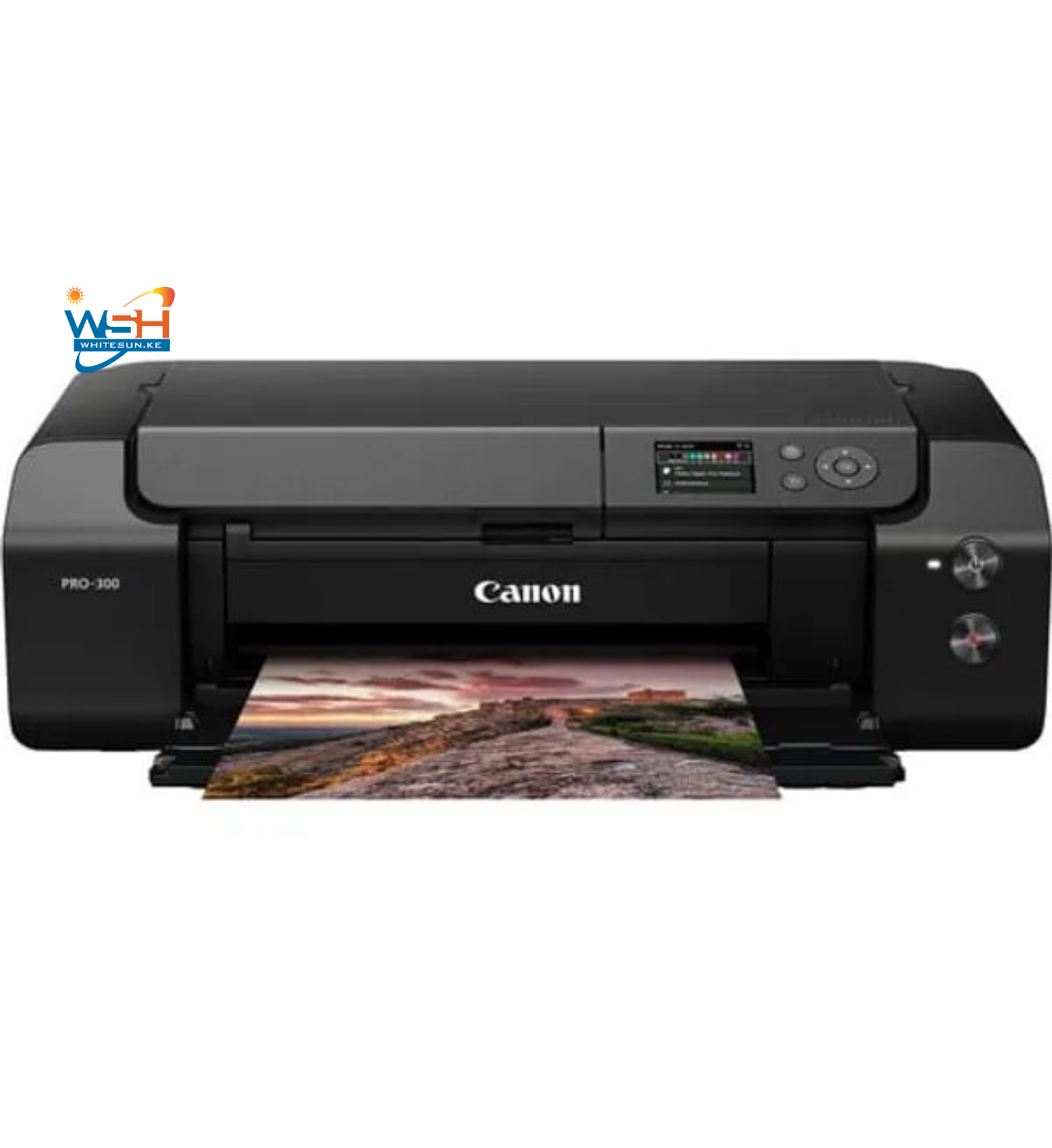 Canon Pro 300