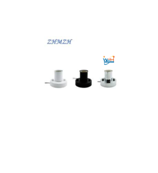 Powermax Straight Lampholder