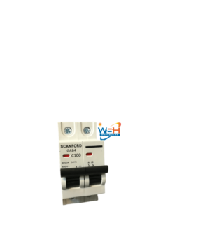 Scanford double pole mcb 100a