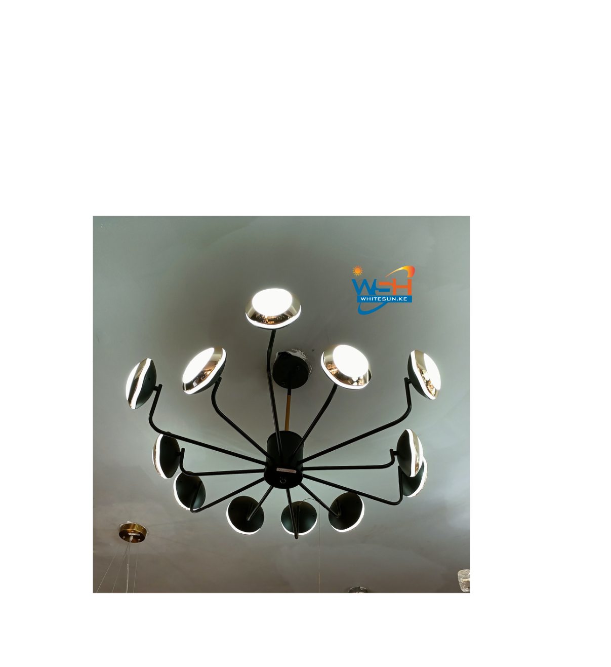 Pannier Lights