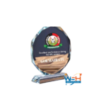 Customized trophy