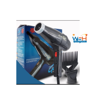Professional Hair dryer