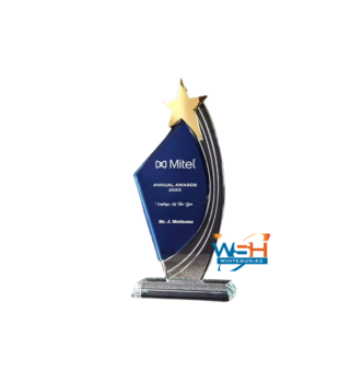 Customized Corporate Award Recognition Crystal Trophy