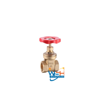 Cobra Gate Valve 1002 32mm