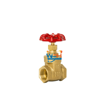 Brass gate valve