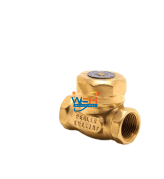 PEGLER BRASS SWING CHECK VALVE 1"