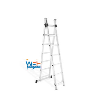 Two Section Extension Ladder