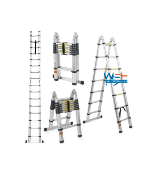 Dual Telescopic Ladder