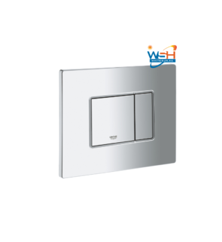 Skate Cosmopolitan Flush plate