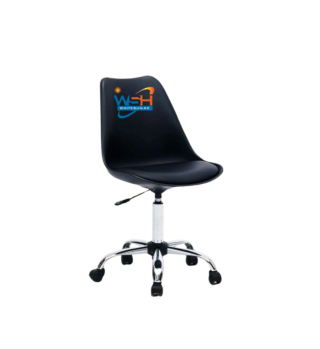 Morden imported eames chairs