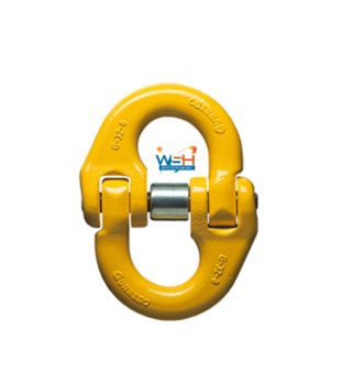 Connecting Link GEN 1677-1