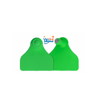 Ear tags unnumbered (plain) Large maxi