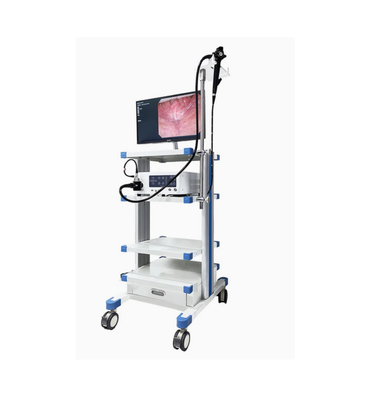 MSLSY26 VIDEO GASTROSCOPE SET