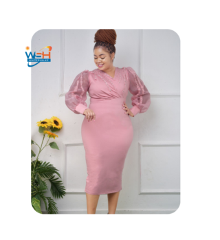 Elegant Dress with Sheer Sleeves 2