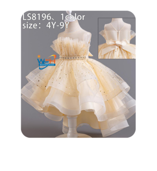 Elegant Floral Princess Dress