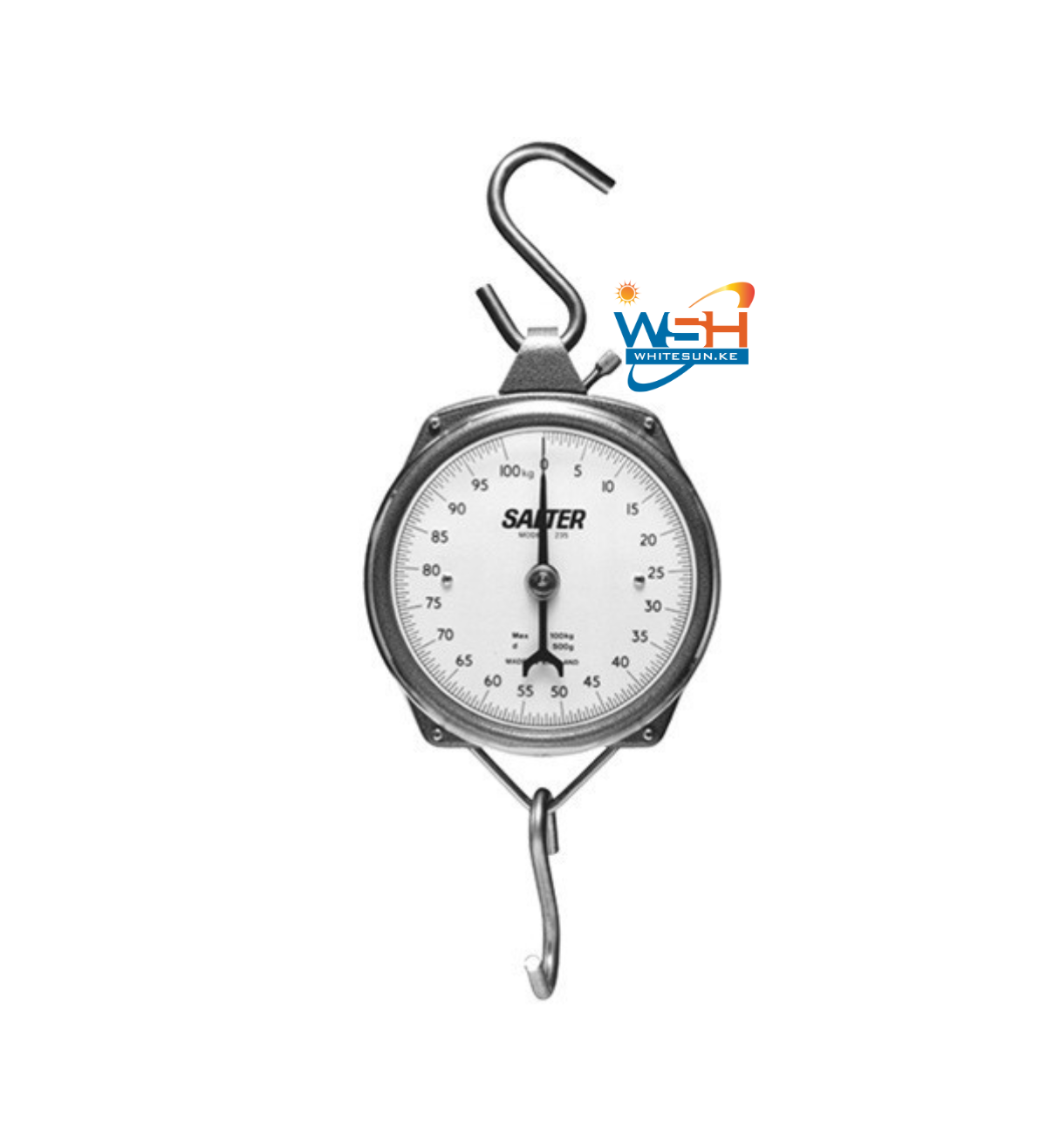 Salter Hanging Scale