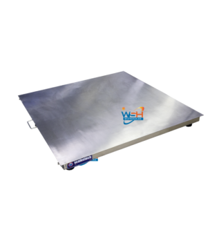 Stainless Steel Floor Scale