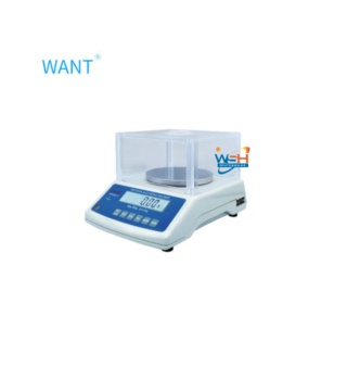 WANT WT-A 0.01g Electronic balance