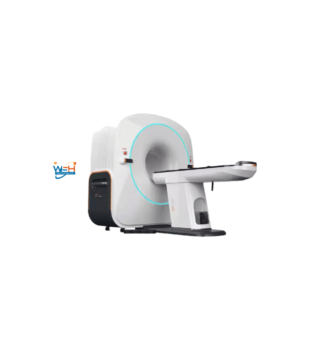 MSLCTX01 VETERINARY CONE BEAM COMPUTED TAMOGRAPHY
