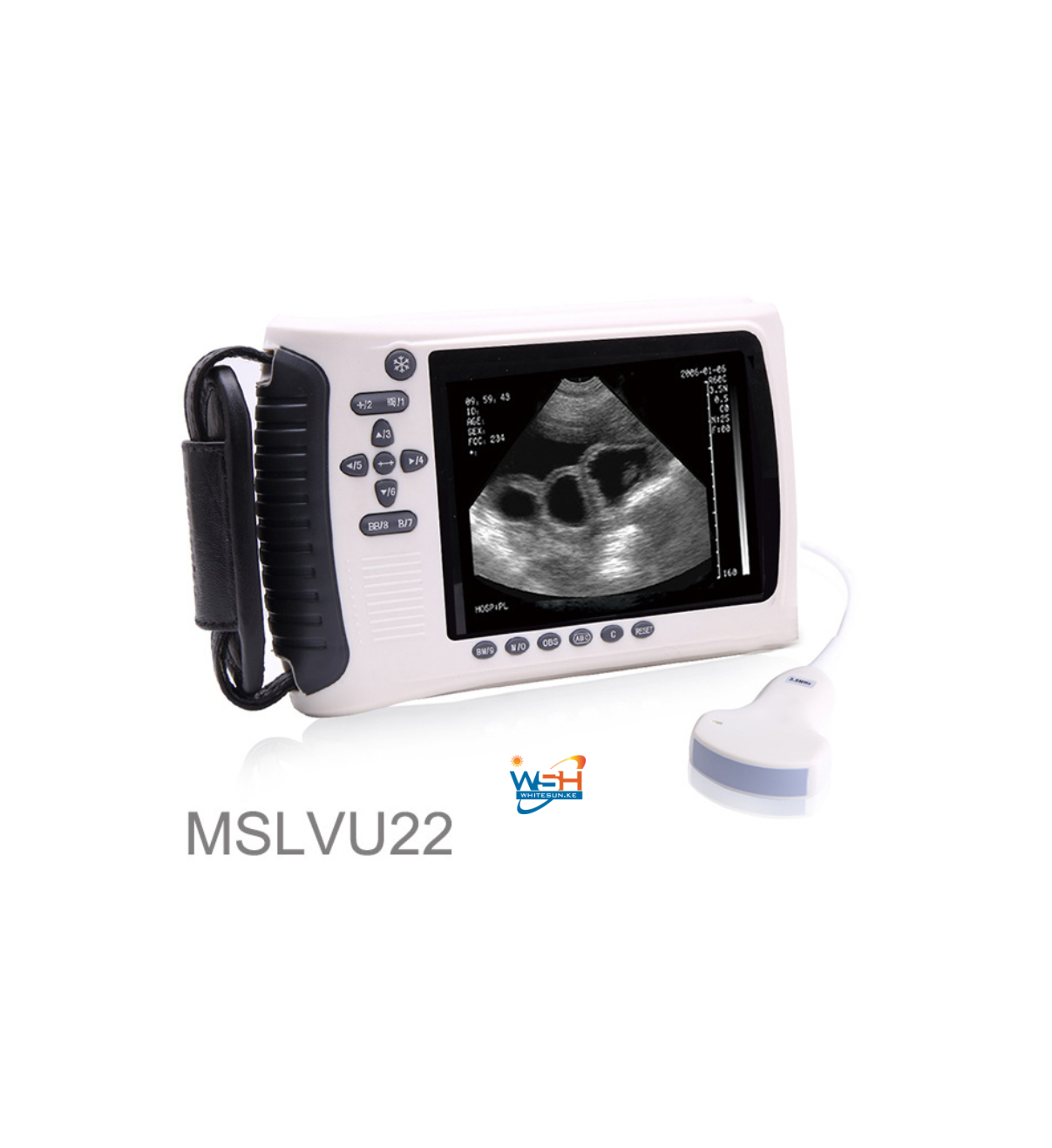 MSLVU22 Handed Ultrasound + Rectal probe