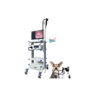 MSLSY30 VET GASTROSCOPE