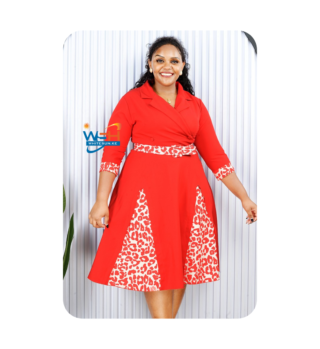 Chic A-Line Dress with Animal Print Flair
