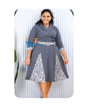 Chic A-Line Dress with Animal Print Flair