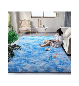 Light blue fluffy carpet