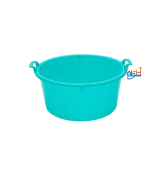 GIANT BASIN