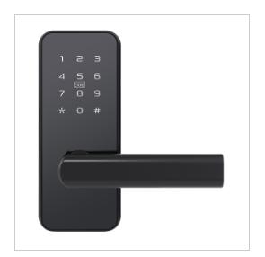 BE-TECH K581FT-19B Intelligent Lever Lock – Advanced Security for Inner and Outer Doors