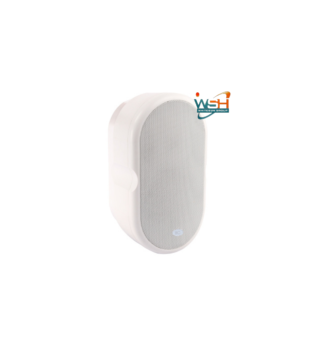 TS-605Y Conference Room Wall-mounted Speaker