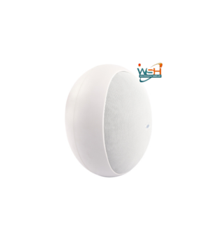 TS-605T Conference Room Wall-mounted Speaker