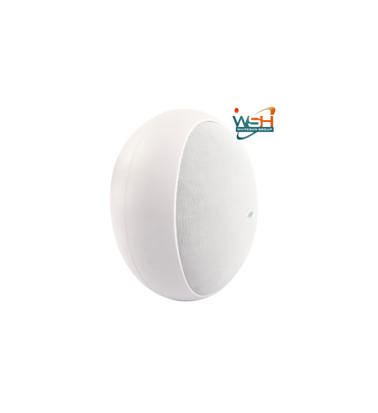 TS-605T Conference Room Wall-mounted Speaker