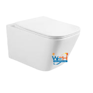 Wall Hung Toilet, P-Trap:180mm Roughing in