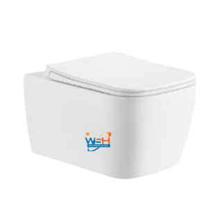 Wall Hung Toilet, P-Trap:180mm Roughing in