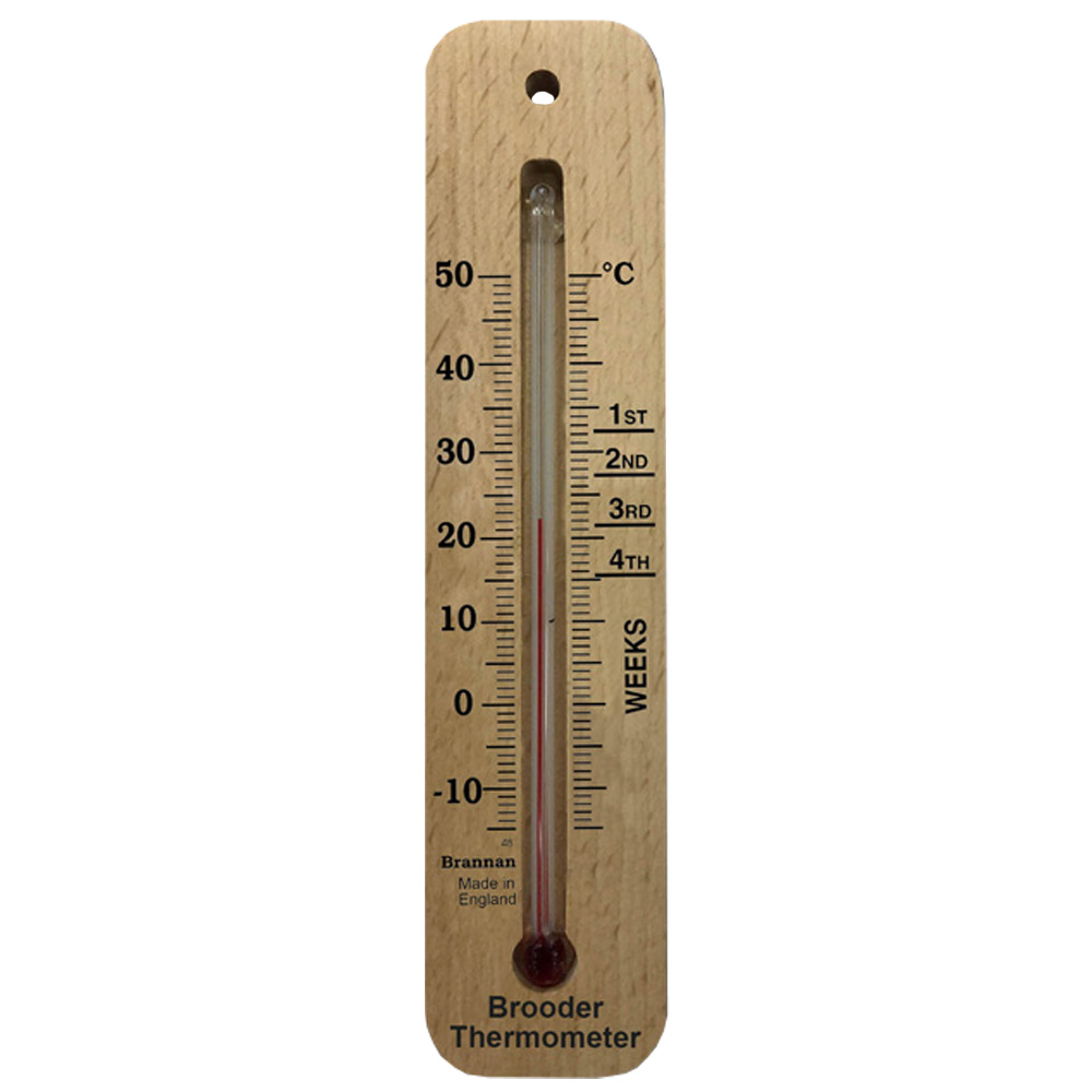 Brooder Thermometer - Image 3