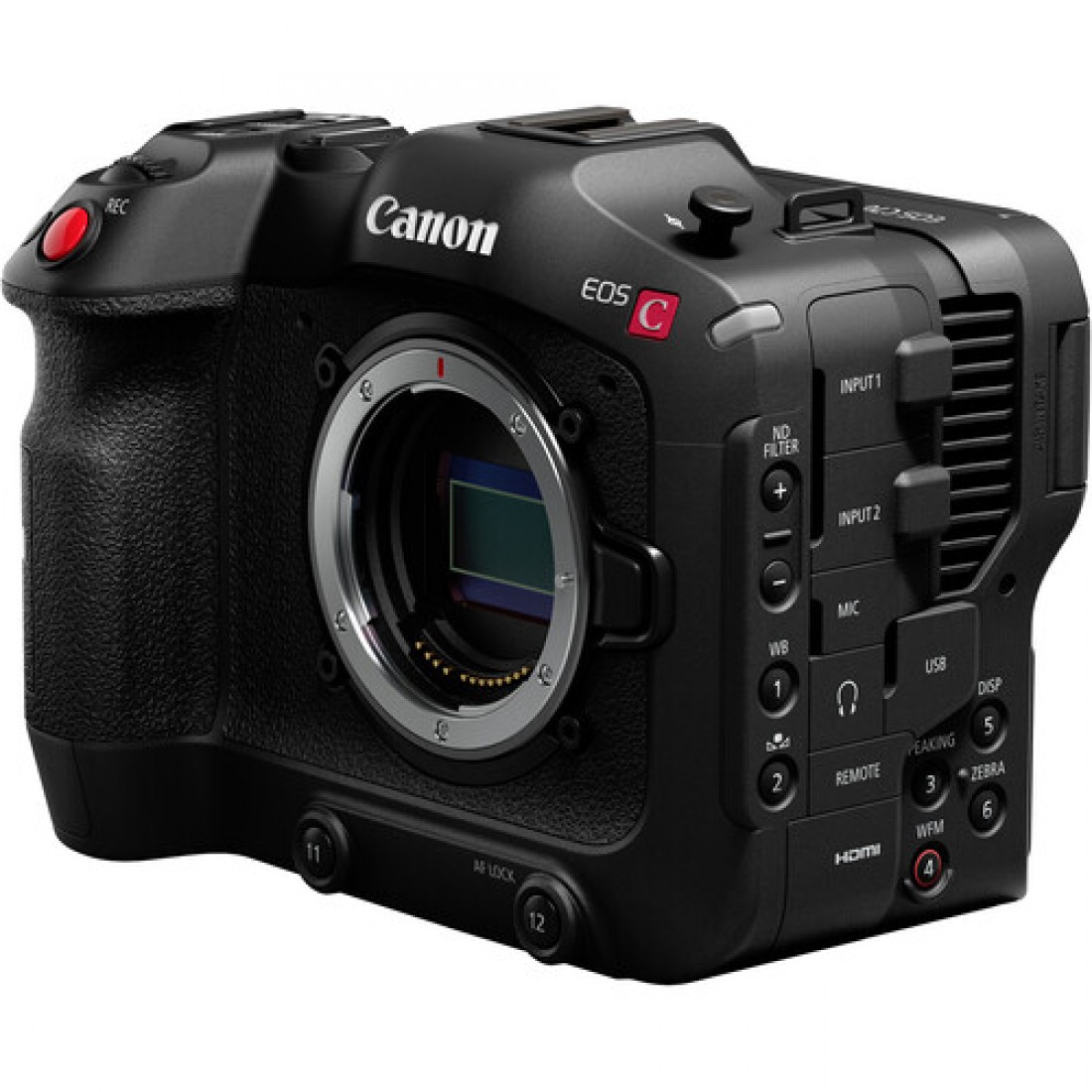 Canon EOS C70 RF-Mount Cinema Camera - Image 3