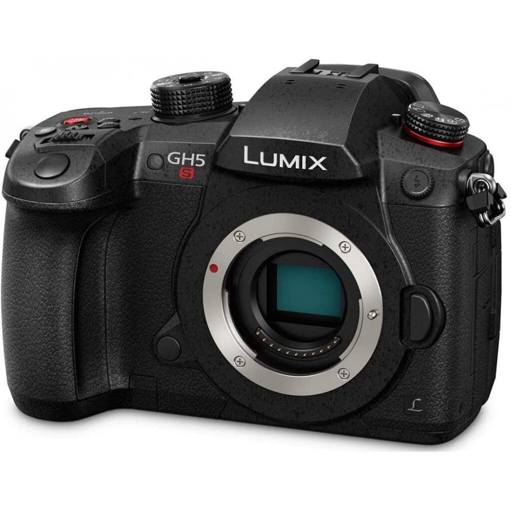 Panasonic Lumix DC-GH5S 1-1100x1100w
