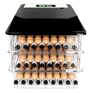 EGG INCUBATORS- DUAL POWER - 1000 EGGS 