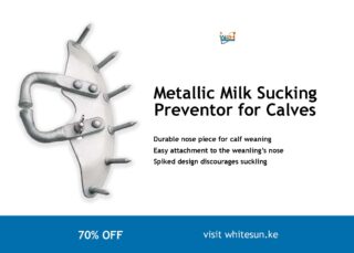 Metallic Milk Sucking Preventor for Calves