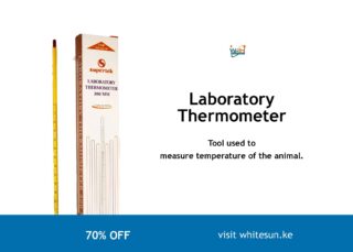 Laboratory Thermometer