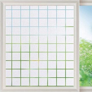 D319 Frosted Film