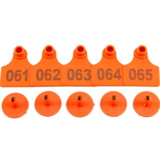 ORANGE-NUMBERED-EARTAGS