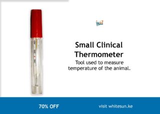 Small Clinical Thermometer