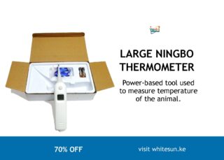 LARGE NINGBO THERMOMETER
